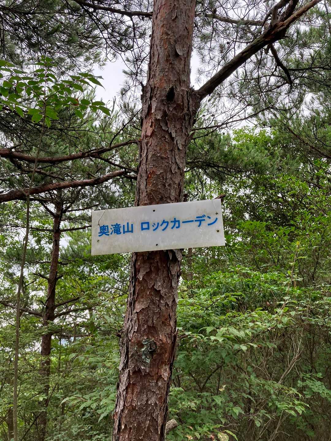 雨が降り出したので　休憩