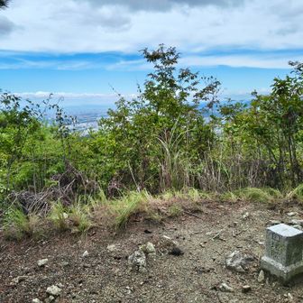 鉄塔のある場所の上、一徳防の三角点に立ち寄り。見晴らし良いです✨
