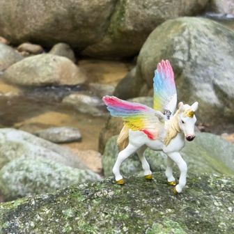 再び桃岩の前に戻って来ました、P ユニコーンを撮影。