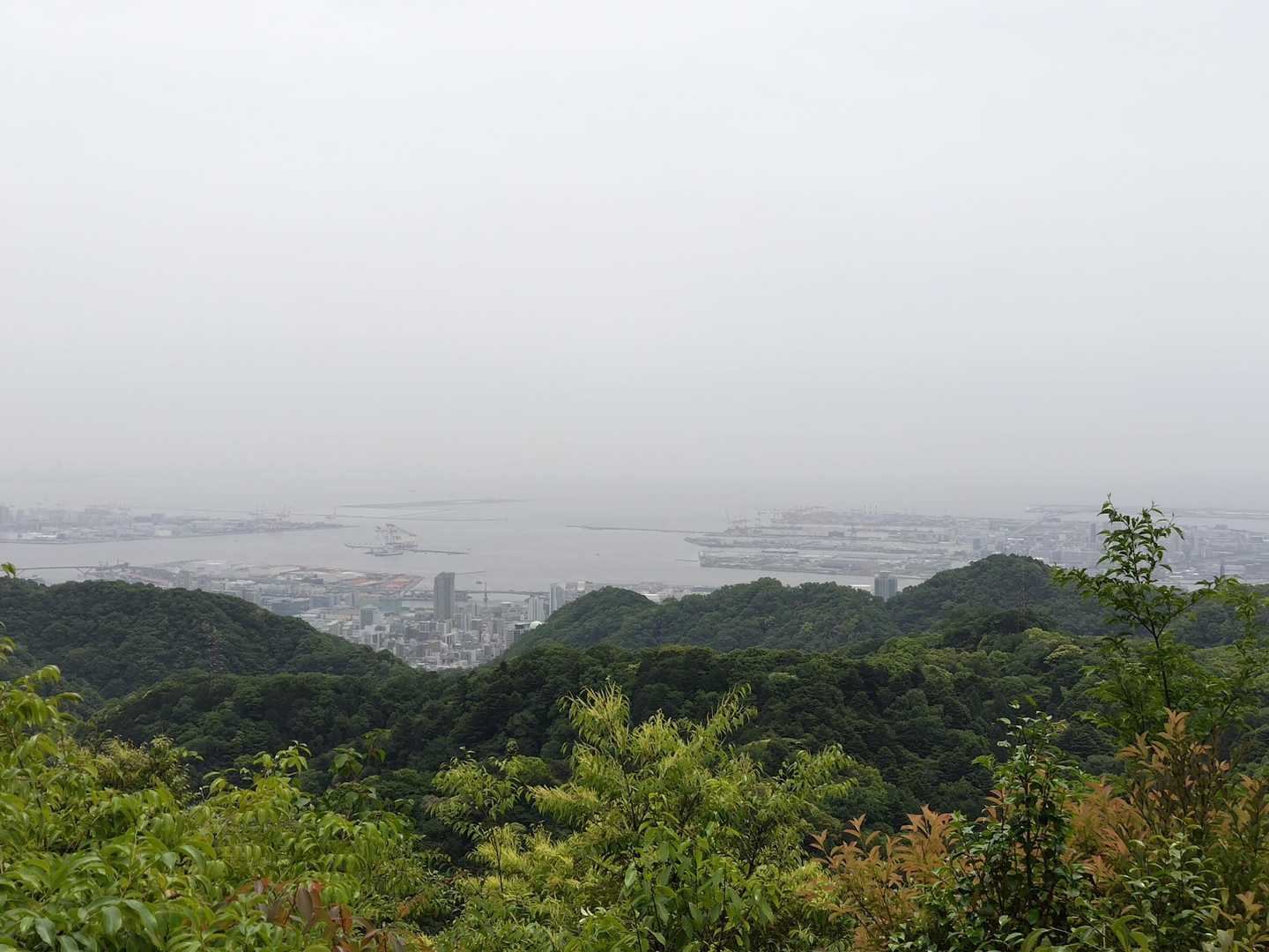 再度山頂より