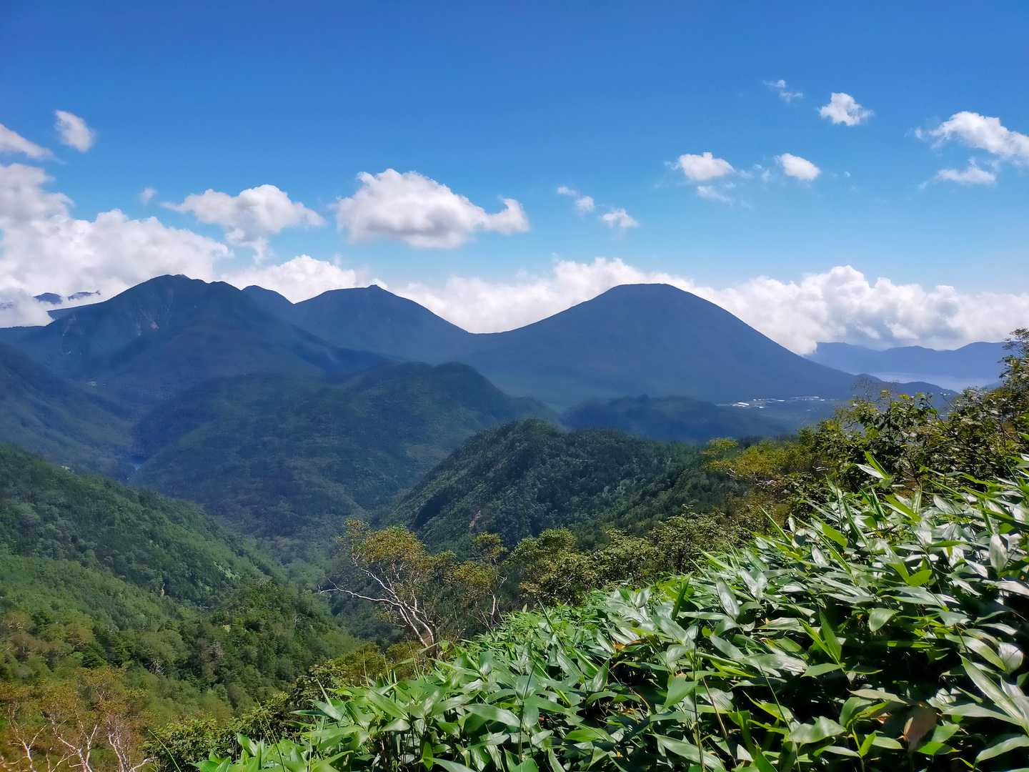 帰りは中禅寺湖まで見えた