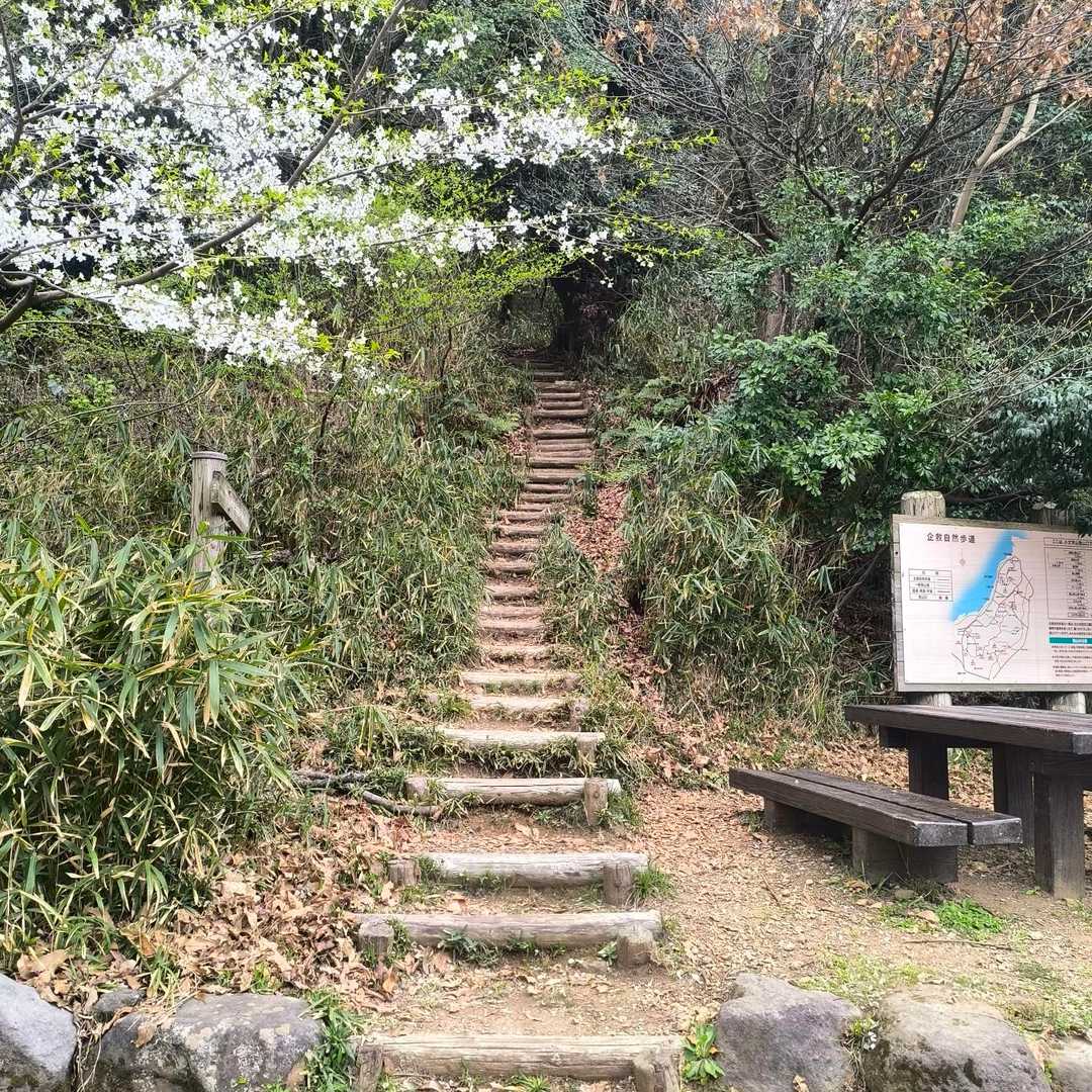 ここ、小文字山登山口からスタートです。