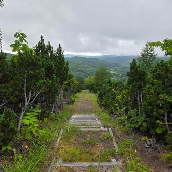 下山です