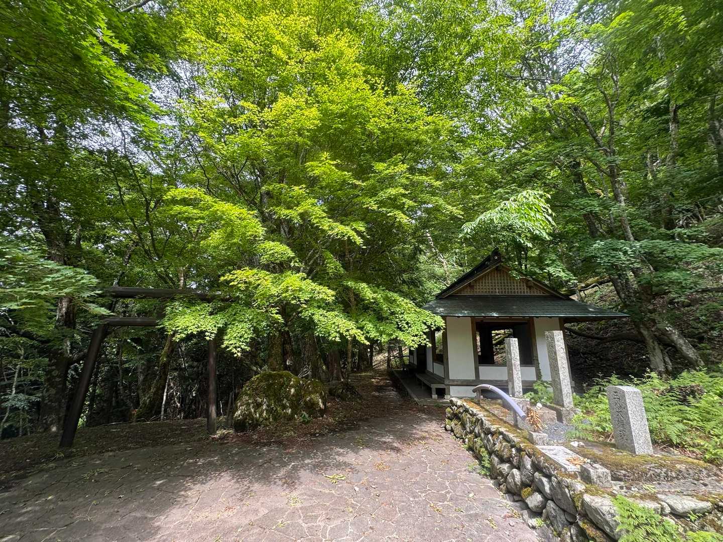 観音峯登山口-観音峯山-法力峠-稲村ヶ岳登山口 縦走コースの写真