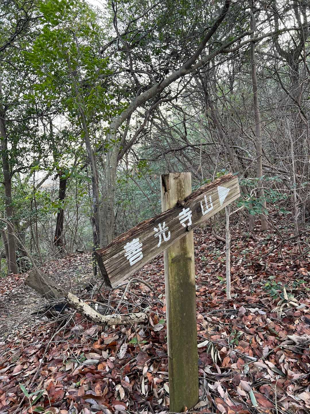 下山はコースを変えて