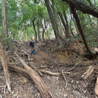 ショートカット