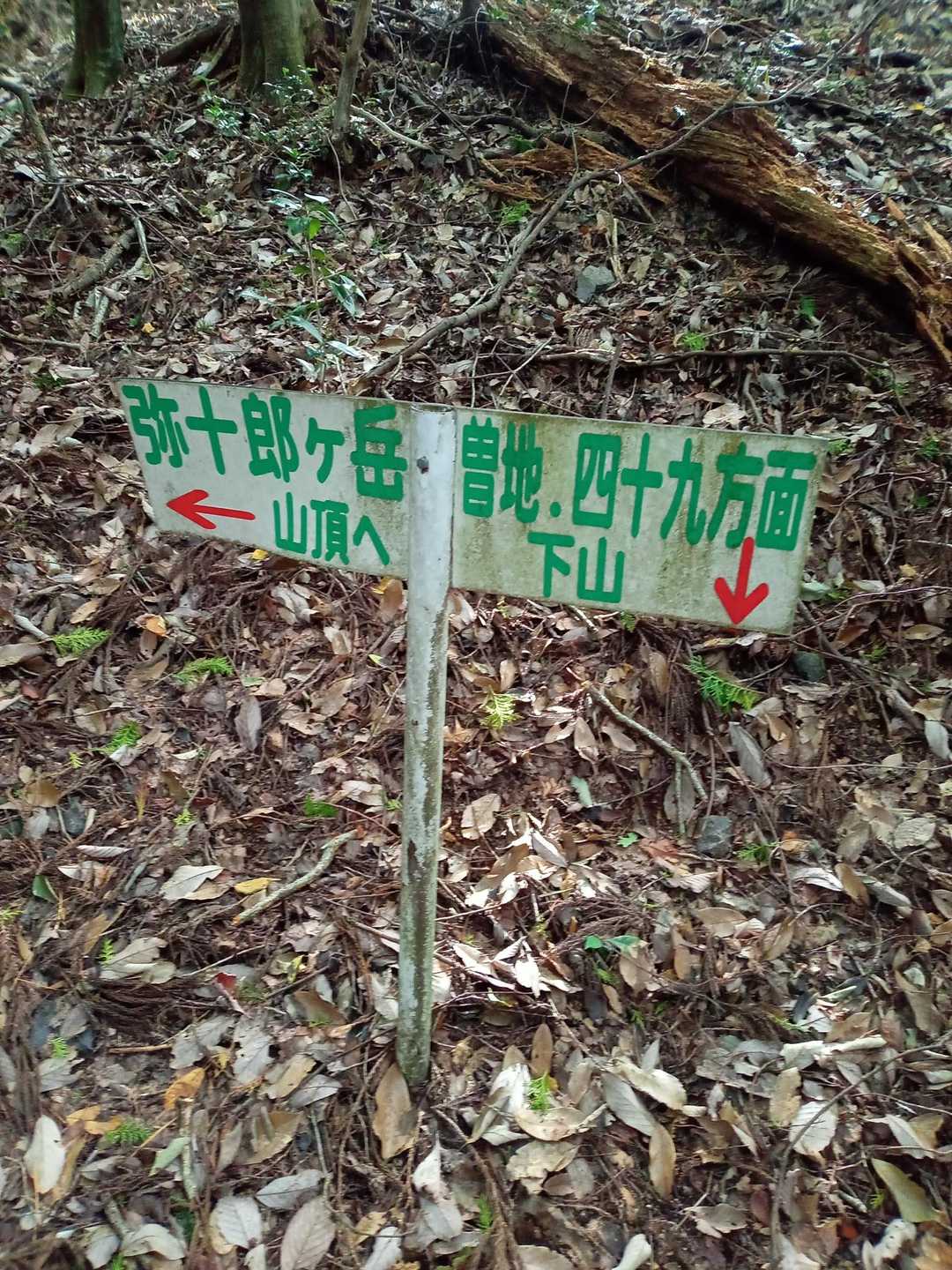 吹越峠-弥十郎ヶ嶽 往復コースの写真