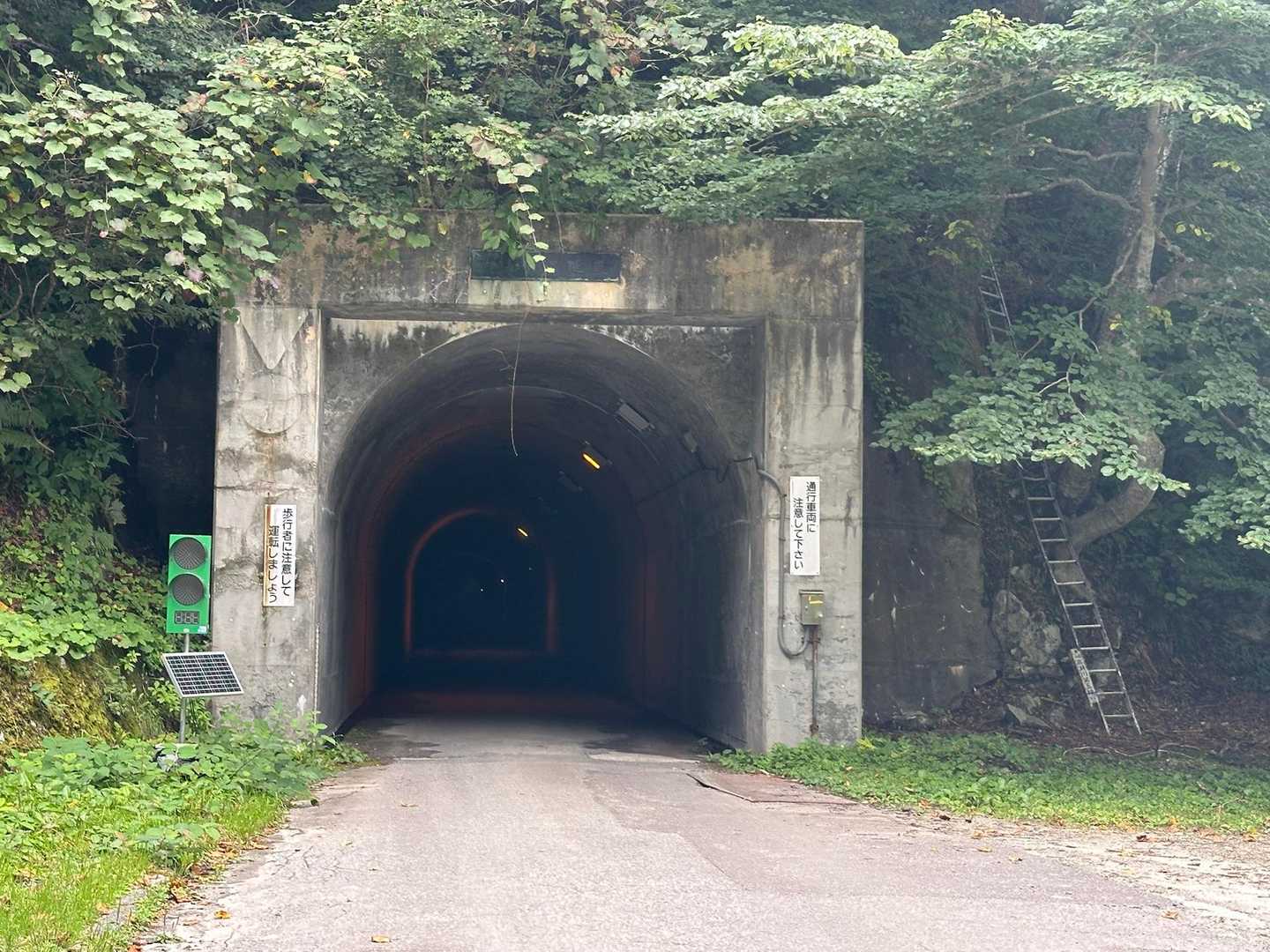 ②も長いよ