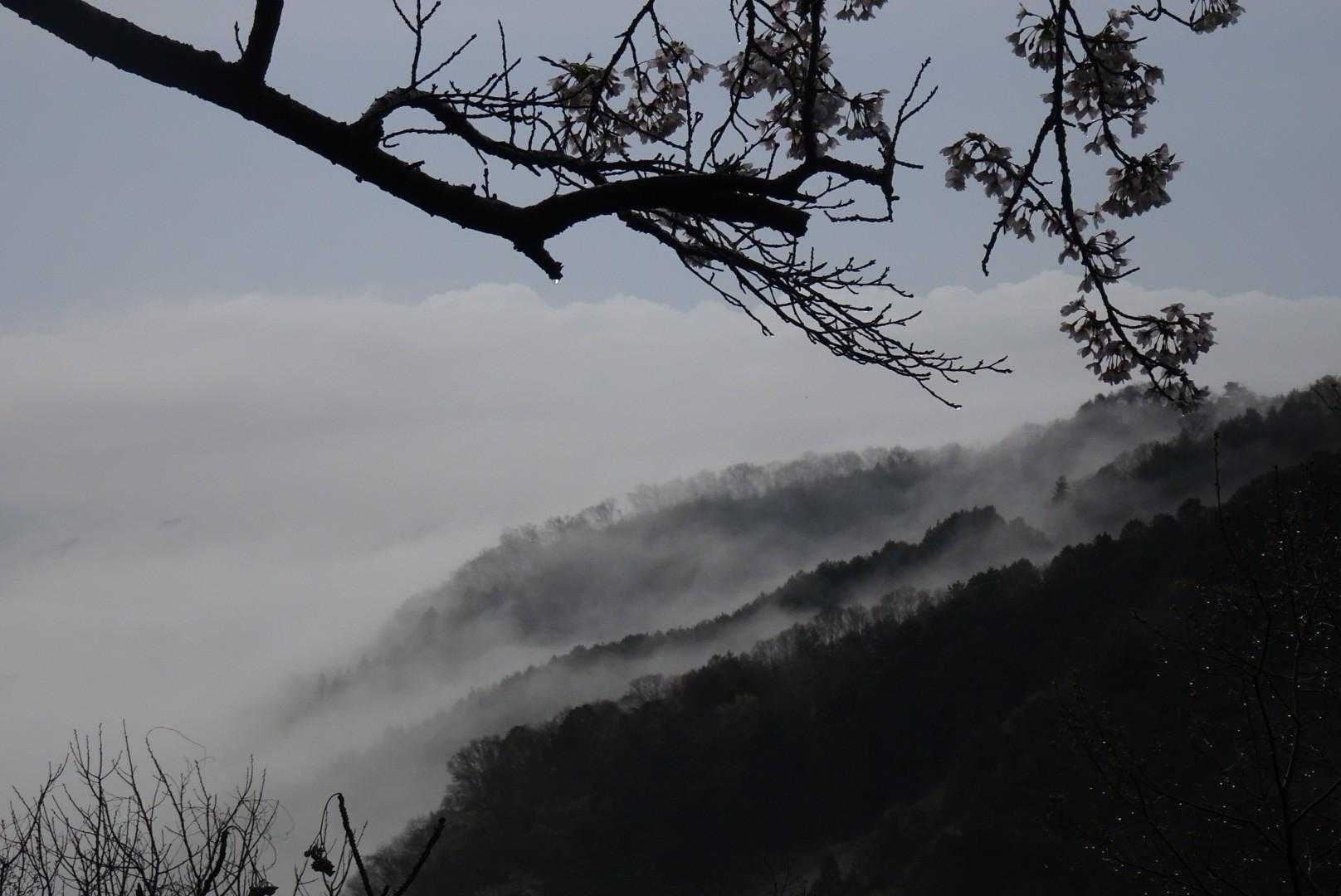 石老山登山口-石老山 周回コースの写真