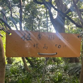 佐屋形山　山頂