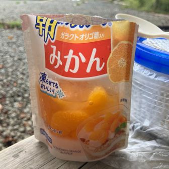 デザートはさっぱりみかん🍊です♪