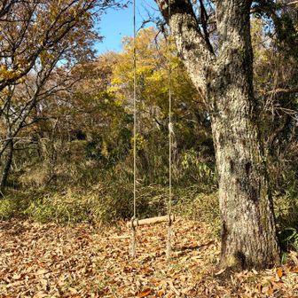山頂までの尾根に、突然ブランコあり。