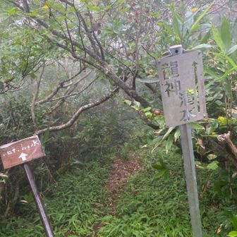 行きませんが