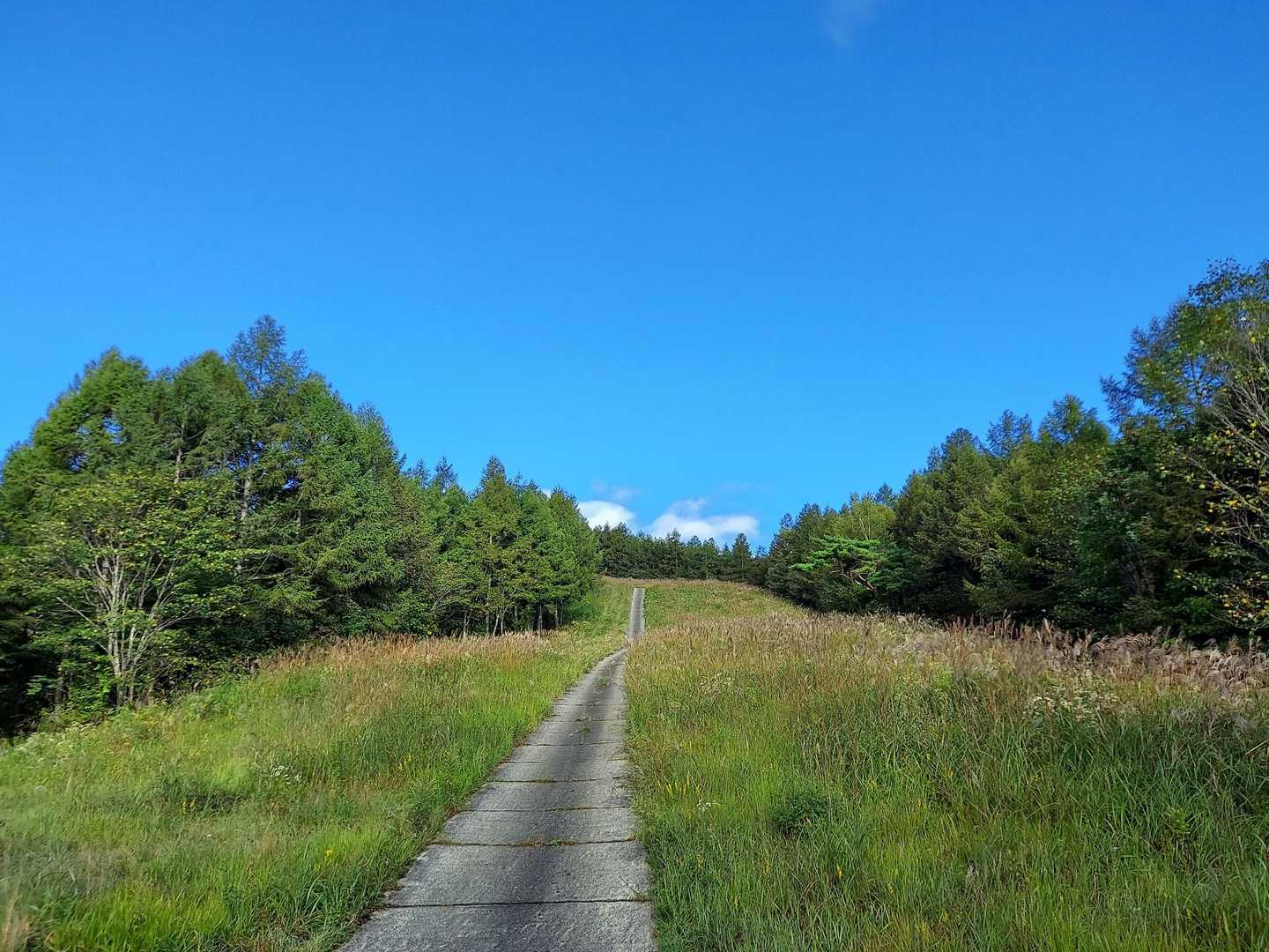 武尊山登山口-前武尊 往復コースの写真
