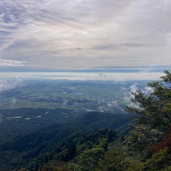四日市市と伊勢湾かな