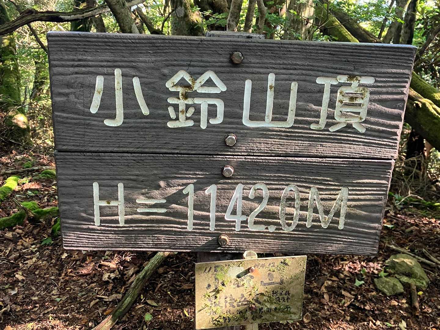 小鈴山山頂🙌
久々の新しいピーク✌️