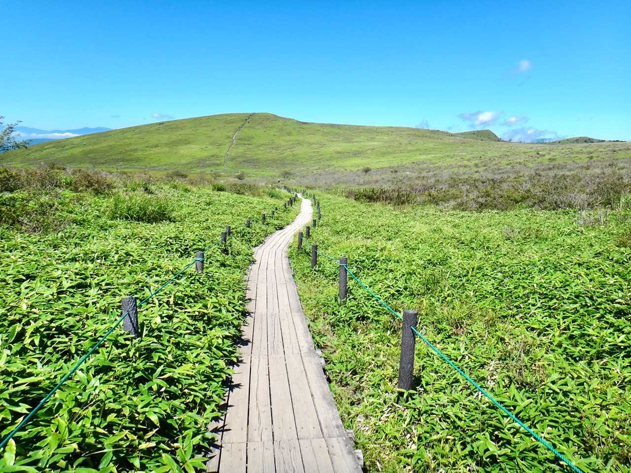 八島湿原バス停-八島湿原入口-男女倉山-南の耳-車山乗越- 周回コースの写真