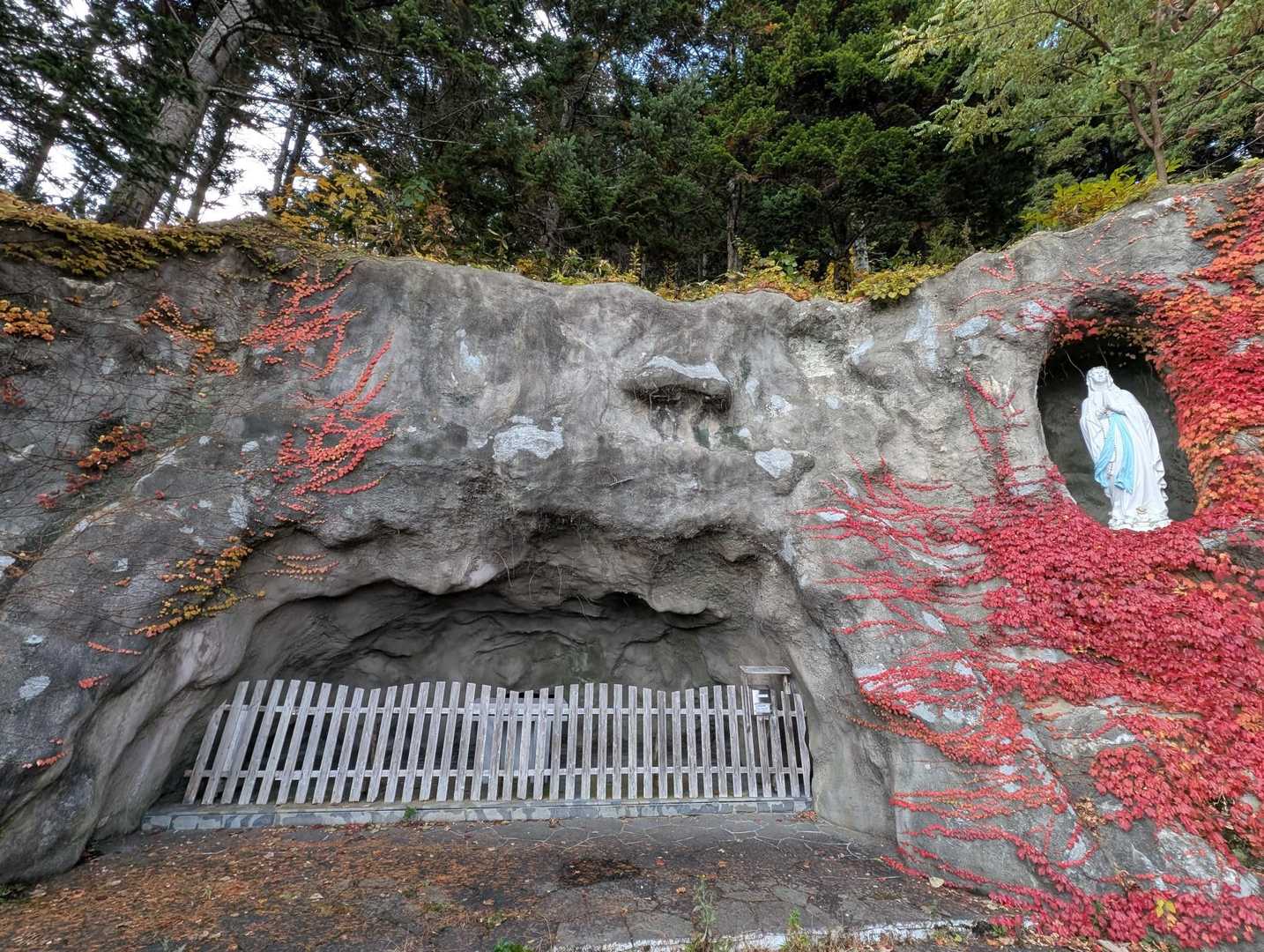 わぁー。美しい✨