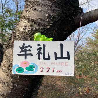 いつからか山頂プレートが設置されたのですね！知らなかった！
いつも、山頂は素通りしてしまいますので…。