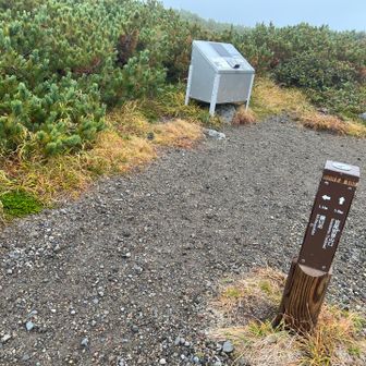 ここでテント泊はヒグマに襲われる気がします。