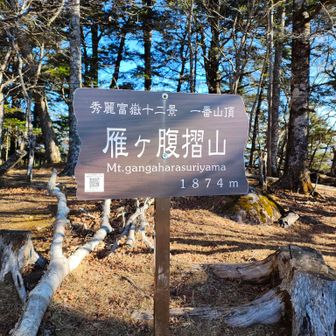 40分ほどで山頂到着