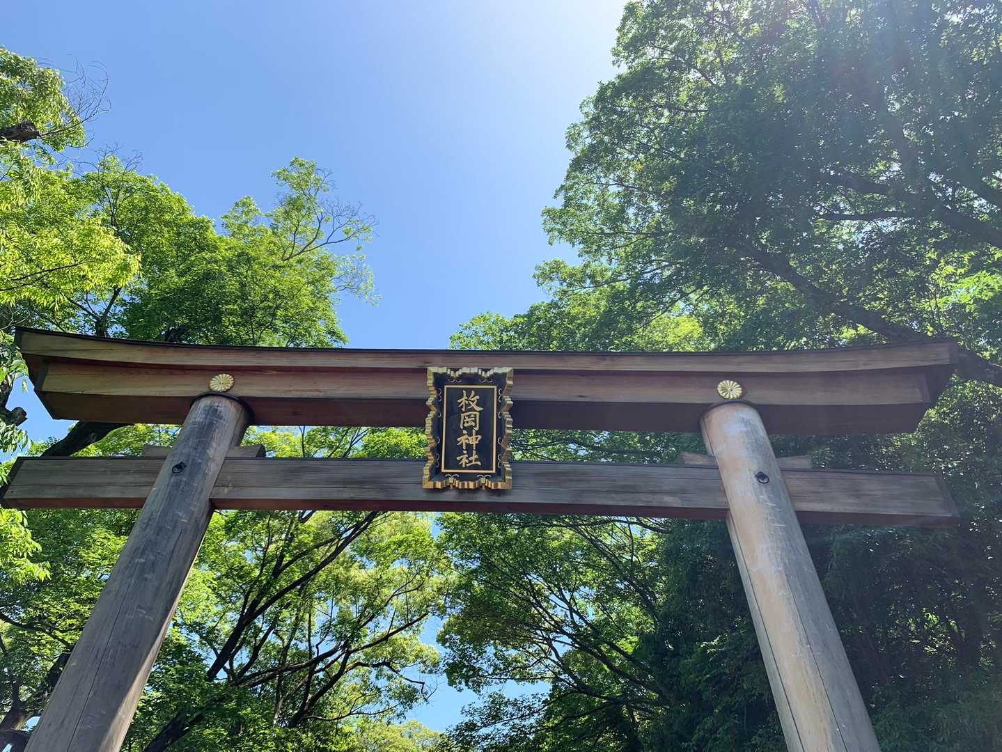 枚岡駅-枚岡神社-神津嶽-神津嶽ふれあい広場 縦走コースの写真