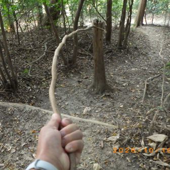 あんパン食べたら下山します。