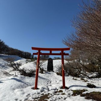 青空と白い雪で赤い⛩️が映える