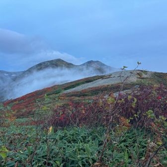早朝。振り返ると小さく切合小屋が。その後ろには飯豊本山が見える。贅沢な時間だったな。