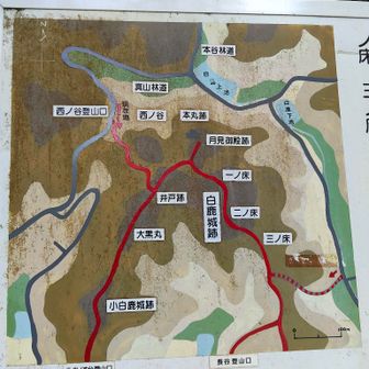 尼子方が籠もった白鹿山 城跡の郭配置図です。白鹿城は毛利軍によって糧道を断たれ、また毛利軍の銀掘衆が山（城）を掘り進めて井戸の水脈を絶ったため城内の水は枯渇していた。しかしながら尼子軍は毛利軍にそのことを察知されないよう、毎朝小高い場所に馬を引き出し、白米に灰を混ぜて柄杓で馬に振りかけた。そのため毛利軍は「このように馬洗いをするのなら城内の水も枯れていないだろう」と思わせた逸話が伝わる。
