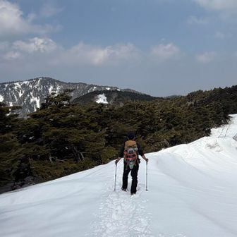 ズームアップ🙌ﾜｰｲ