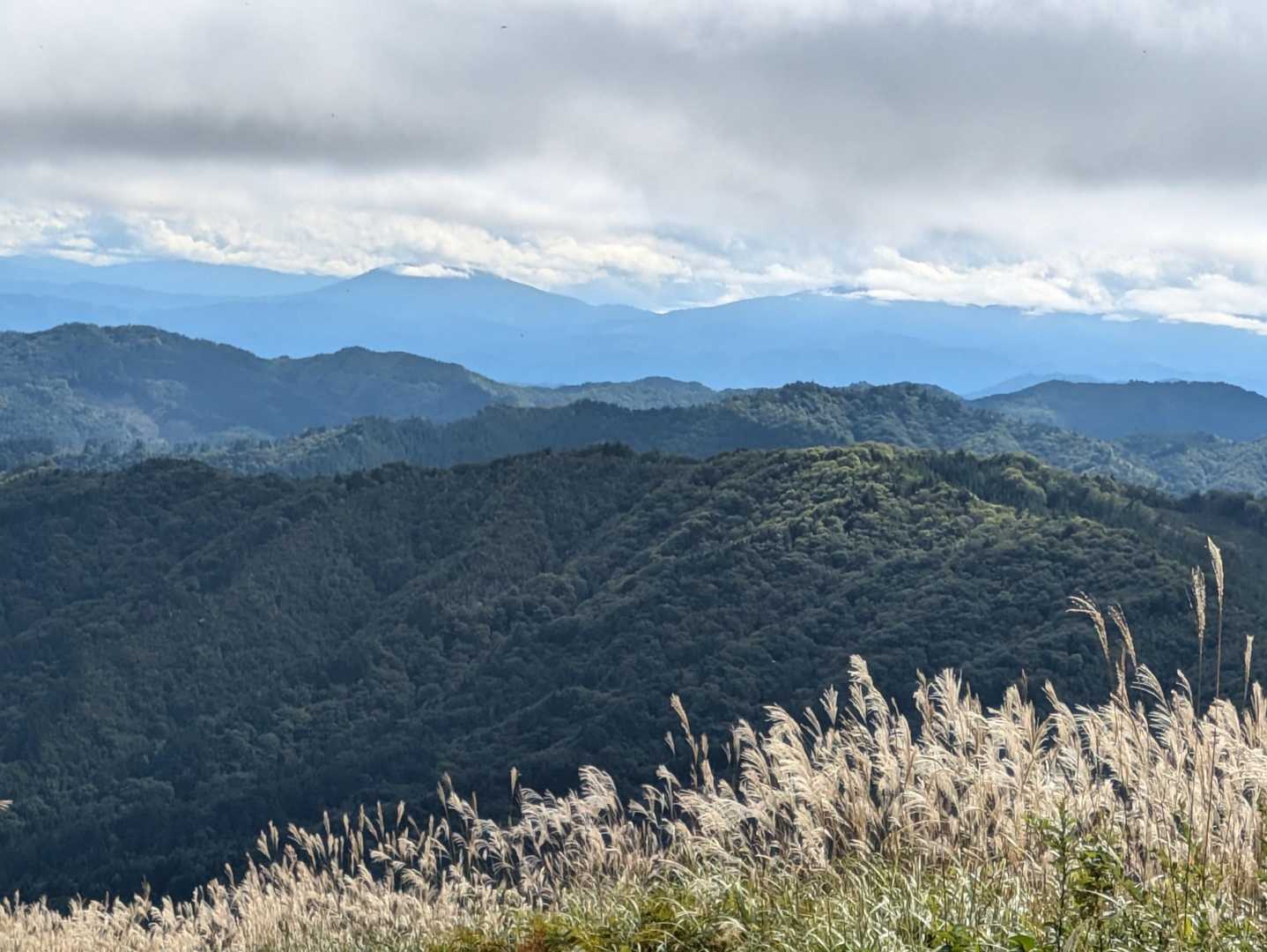 ポイント-流葉山 周回コースの写真