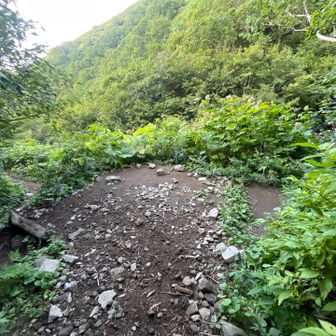 下二俣までくると
頂上にいた3人組が道で座り込んで
遠かった〜って言ってたね
すぐ下の小屋跡まできて休めばいいのに
そんな余裕もないんだね😅