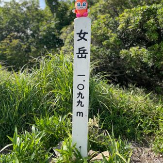 ドキんちゃんも登りました。