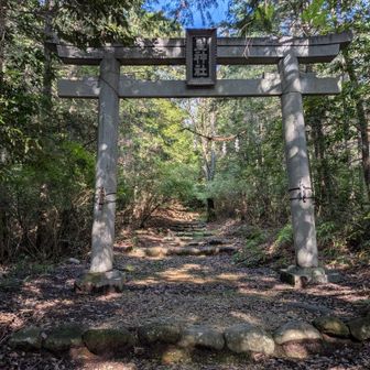星神社の⛩️をくぐって下山です