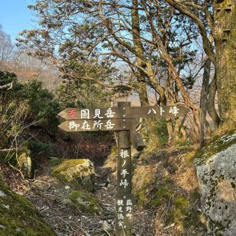 根ノ平、到着！さぁ、今日はマイナールートのため、ここを直進👆