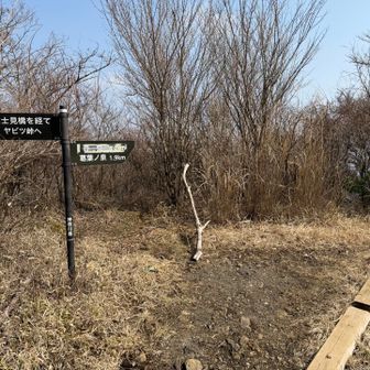 ニノ塔の道標で右へ