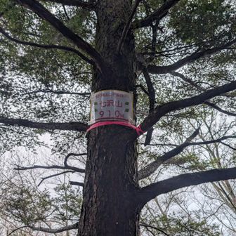 七沢山山頂…けっこー高い位置に有り気付かず通過…だいぶ行ってから気付いて、戻って来た…
見えやすい位置に付ければ良いとおもうのだが…