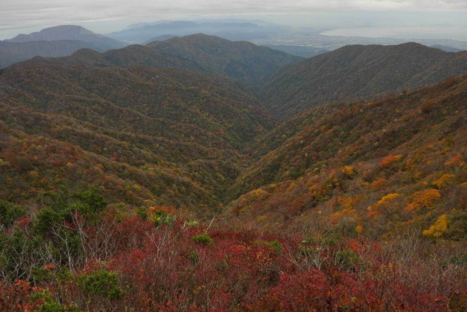 金糞岳-白倉岳 往復コースの写真