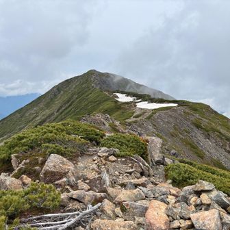 奥聖岳から聖岳
