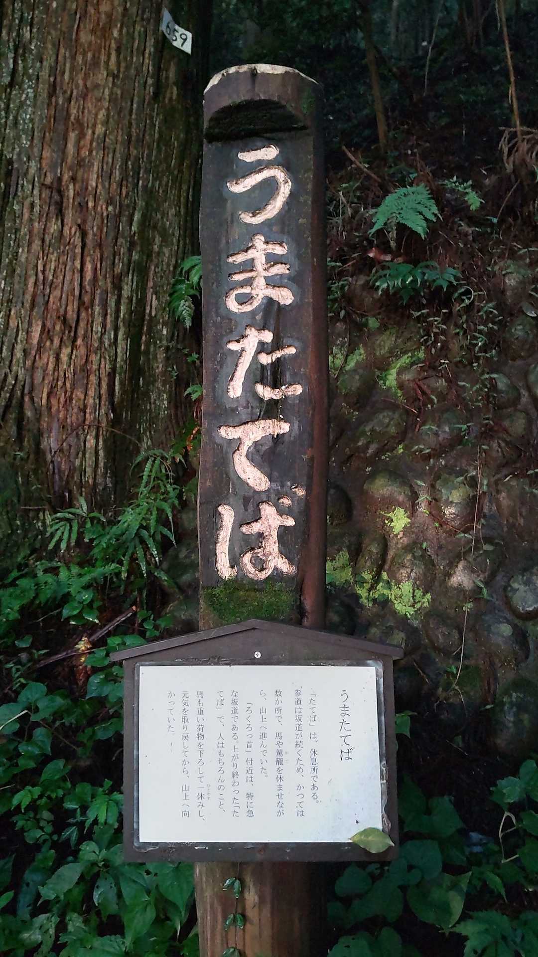 昔、うまもここで休憩したらしい🐎。
こんな感じでいくつかポイントポイントで標識があるので少し楽しいです（が、坂はきつい💦）