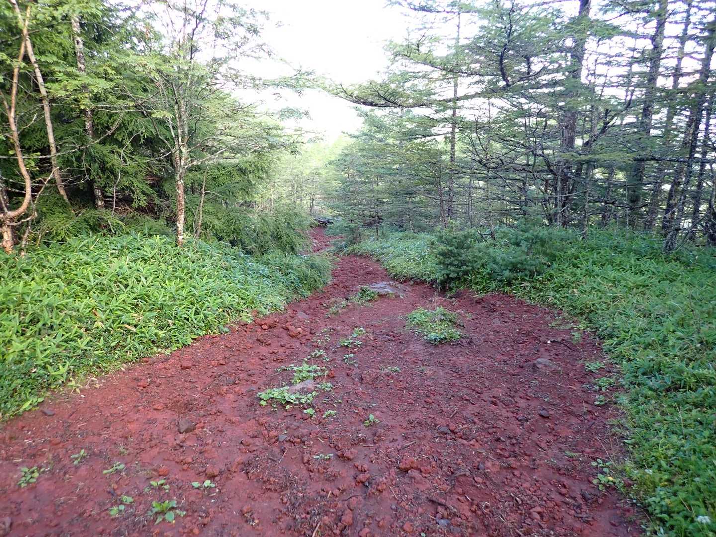 ボトルないない。

私の山の様子が、もの探し山行に変わってきてる…やばくない？