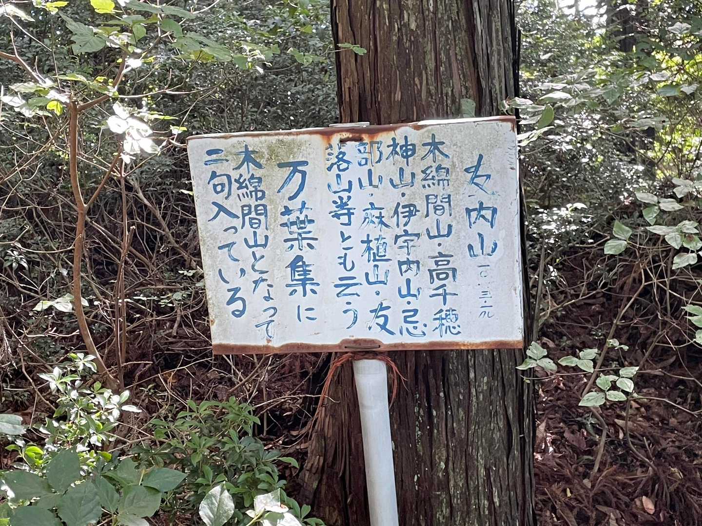 左に回り込み山頂手前に到着
歴史を感じる友内山です