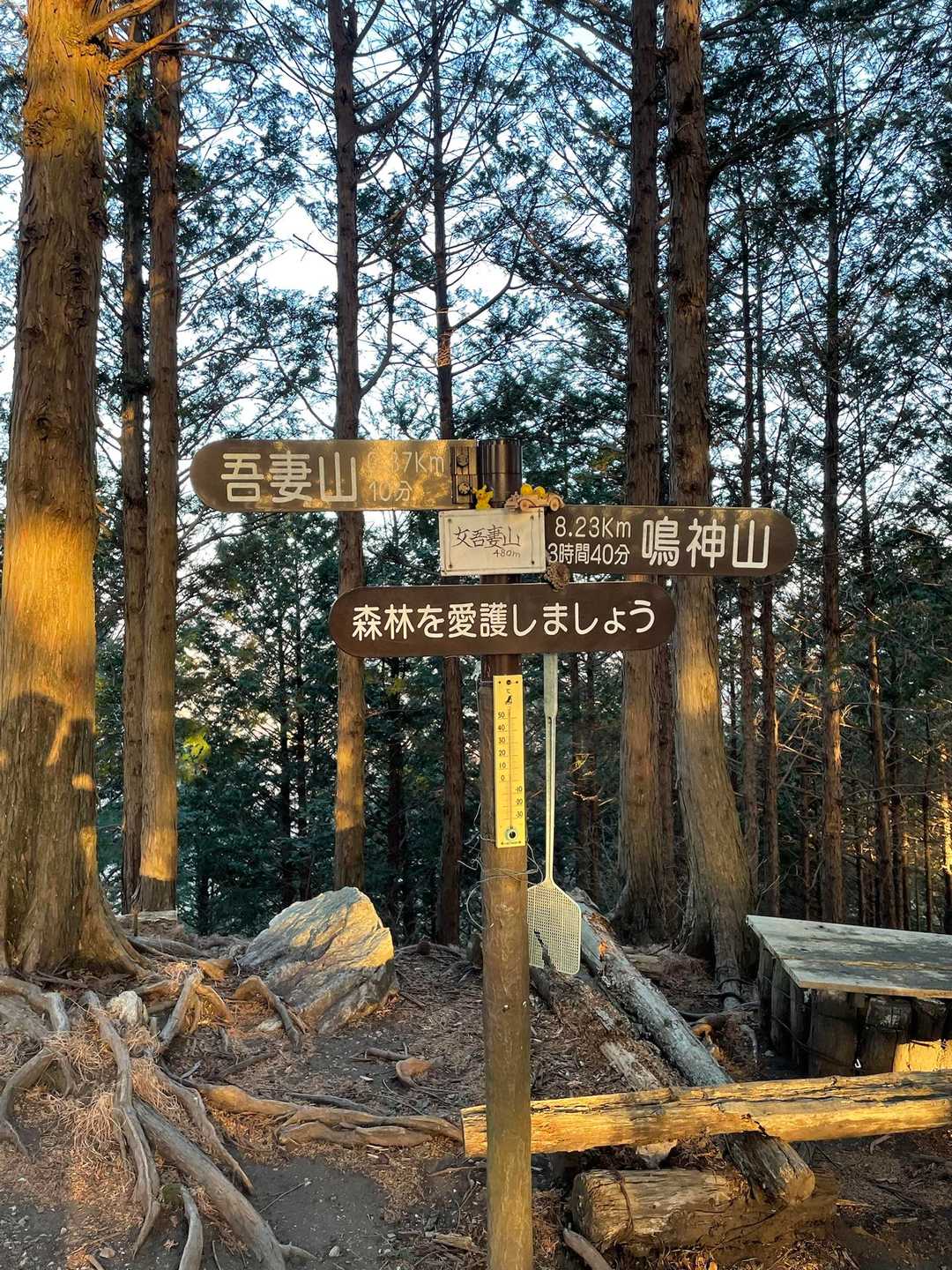 女吾妻山さんちょ
