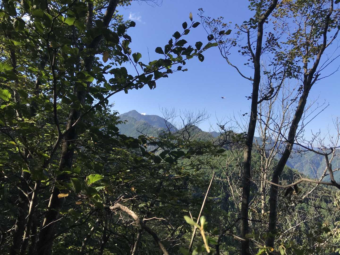 ちらっと覗く大岳山。