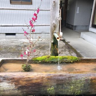 熊野古道 小辺路 集落の中の風情ある手水😻