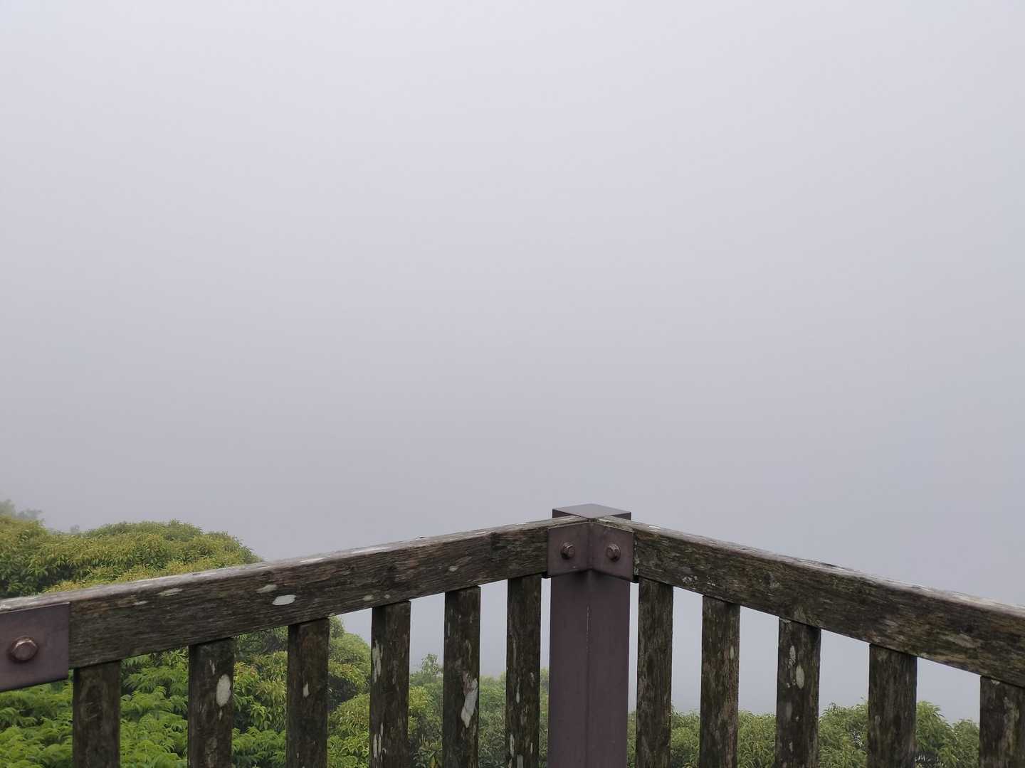 うん…やっぱりそうだと思った😁
南ケ山園地という素晴らしい見晴らしの場所を前半で通り過ぎてしまった事にも気付く…😭
でも、行ってもコレだった可能性大…仕方ないとあきらめる🥲山から見る島々と海と富士山の夢はまたいつか🙏✨️
