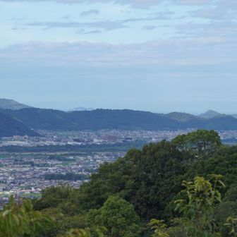 和佐山地の奥に、名草山