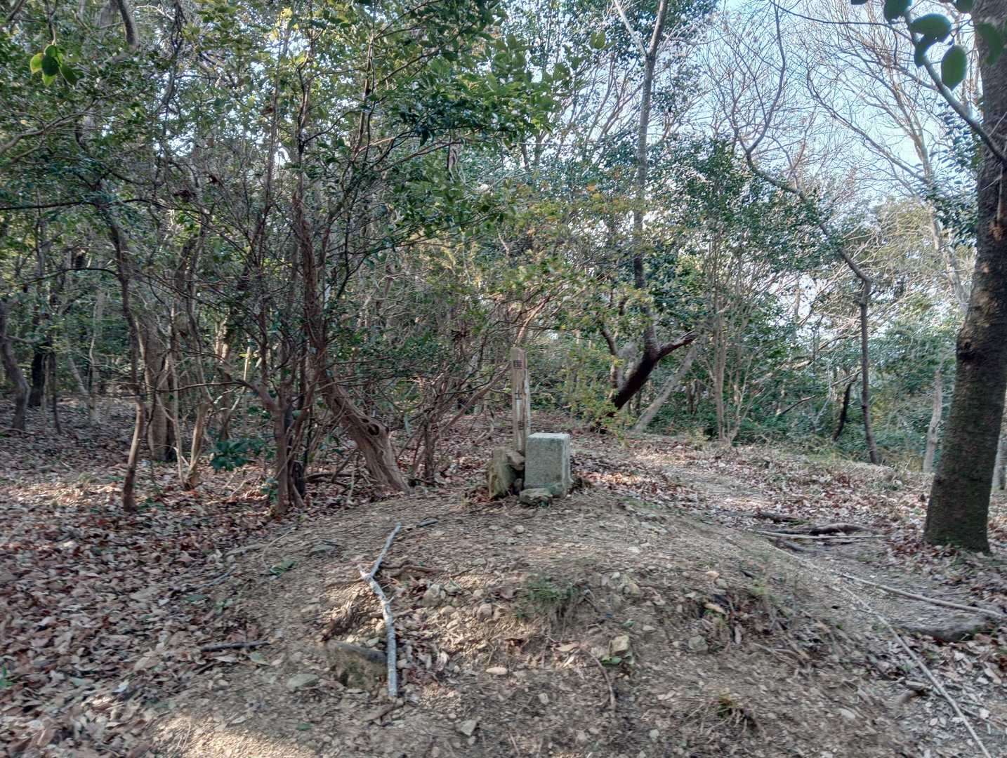 音無山山頂⛰️
標識なし🍐