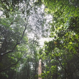 景色見えんけど
涼しいから最高だねーって話しながら